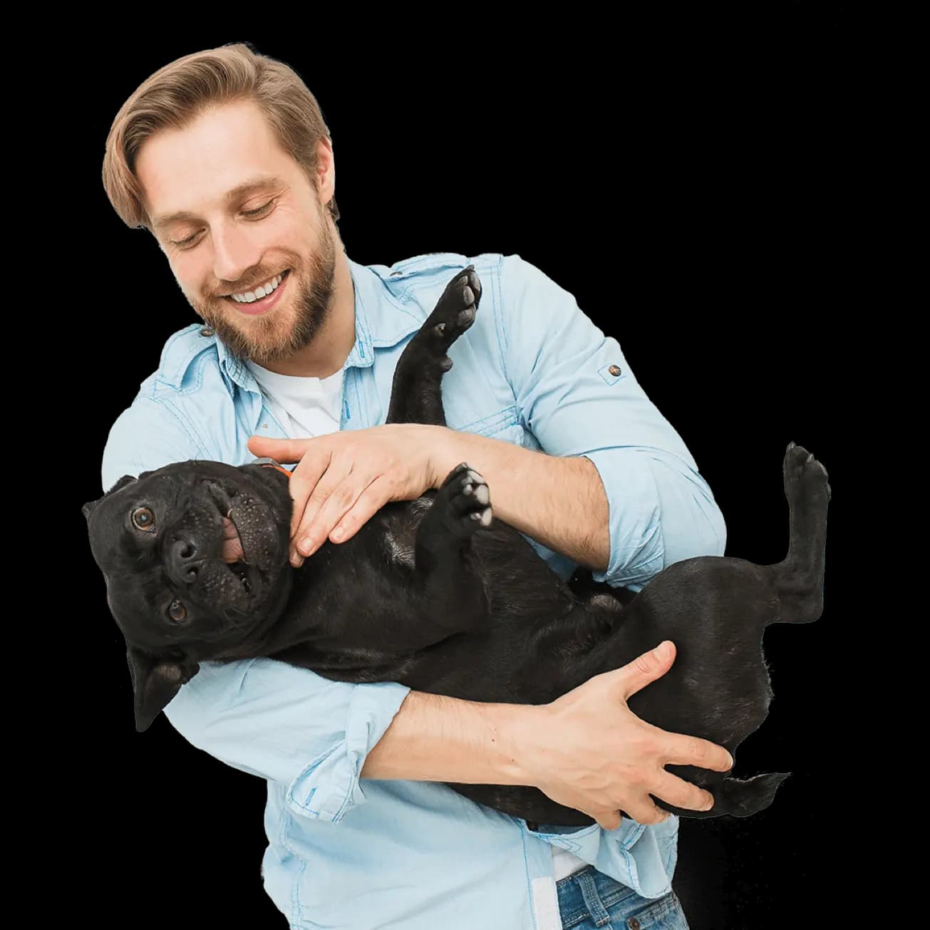 man-and-dog.webp